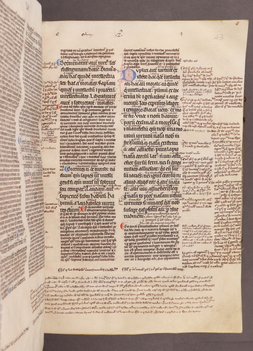 Folio 43 recto